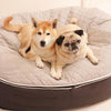 (L) Premium ThermoQuilt Dog Bed (Grey)