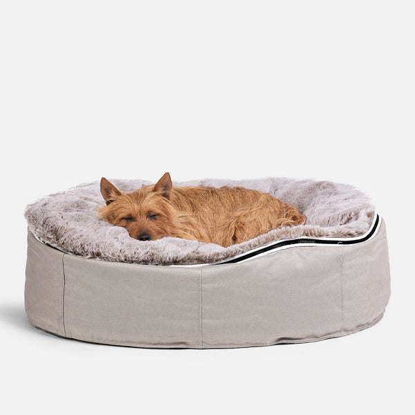 (M) Premium Indoor/Outdoor Dog Bed (Cappuccino)